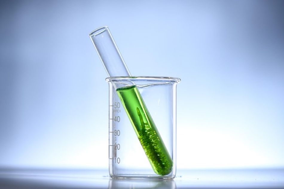 Biofuels: natural thanks to the synergy of bacteria and fungi